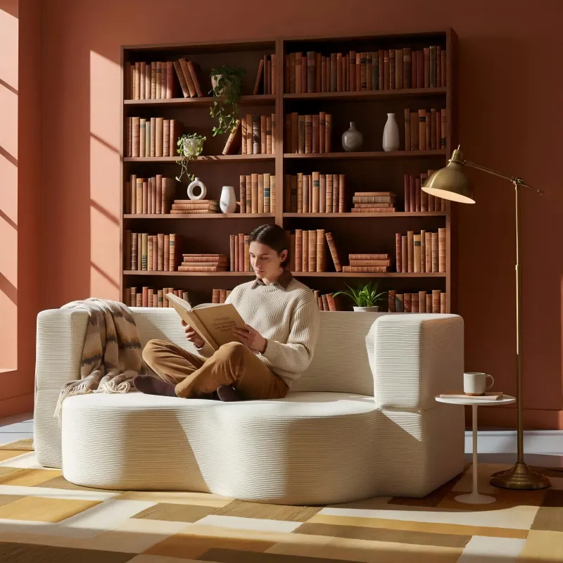 The Creative 2-in-1 Modern Sleeper